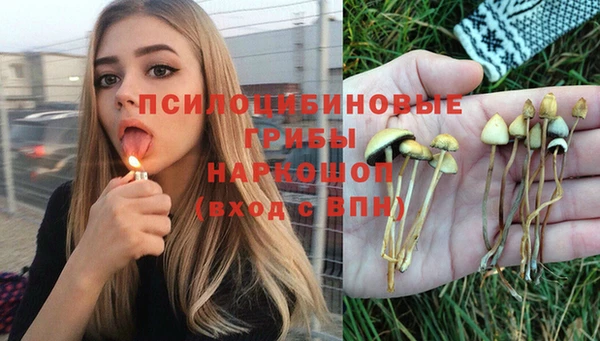 стафф Алексеевка