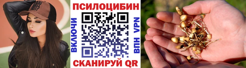Купить закладки  Краснообск  Псилоцибиновые грибы MAGIC MUSHROOMS 