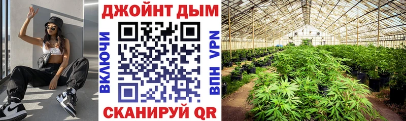 Бошки марихуана ГИДРОПОН Краснообск